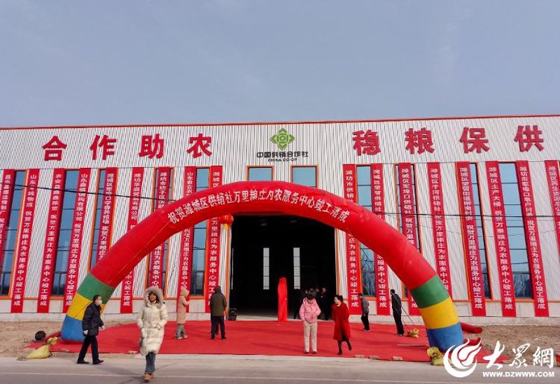 如何选择合适的化肥供应商？一份详细的指南